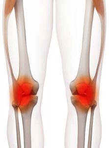 knee-new.jpg