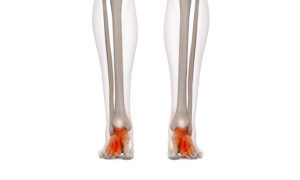 foot.jpg