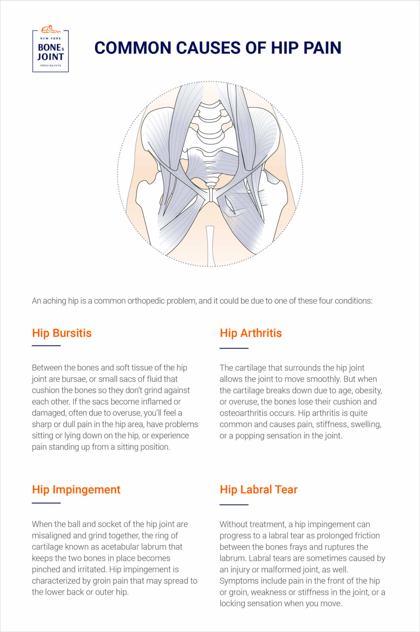 Hip Pain Location Diagram Female