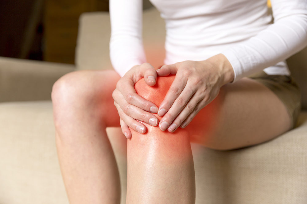 orthopedic knee specialist