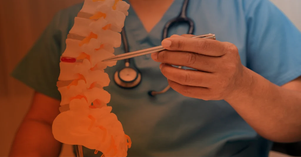 Close up image of a medical professional pointing to a model of a spine.
